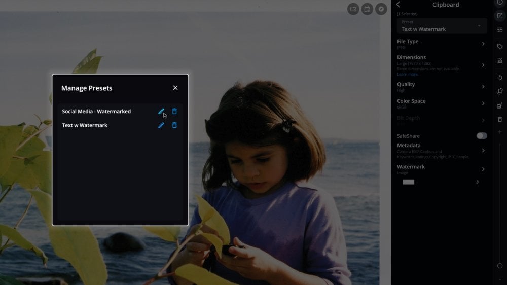 The Manage Presets dialog listing custom export presets, with the pointer on the pencil icon next to one preset.