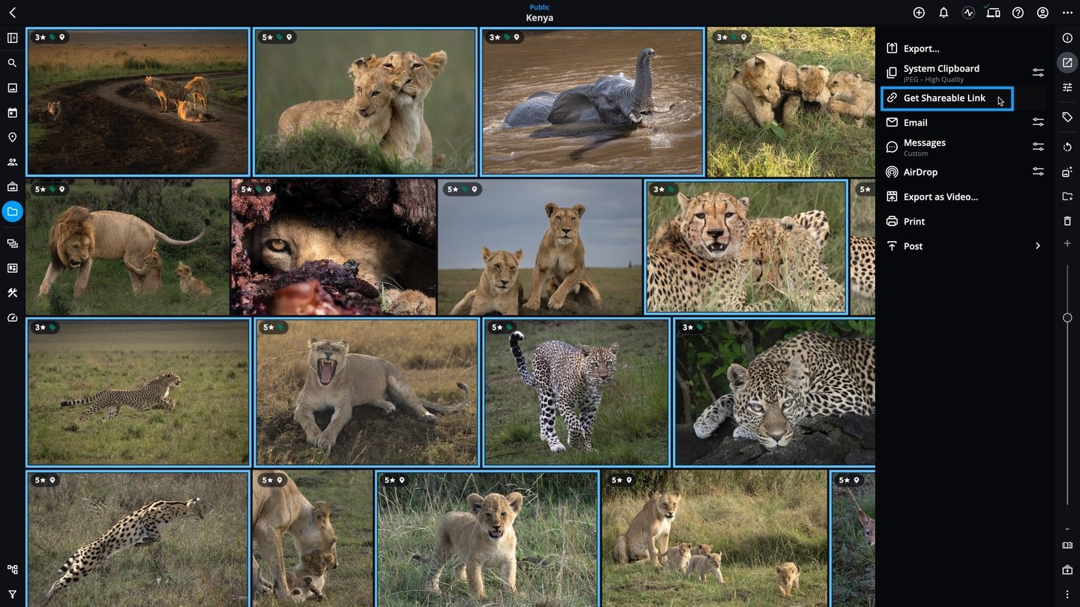 Selected photos in Mylio Photos with the Share panel open and "Get Shareable Link" highlighted.