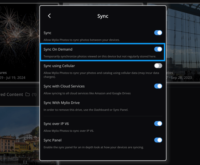 The Sync settings with "Sync On Demand" turned on and outlined in blue.