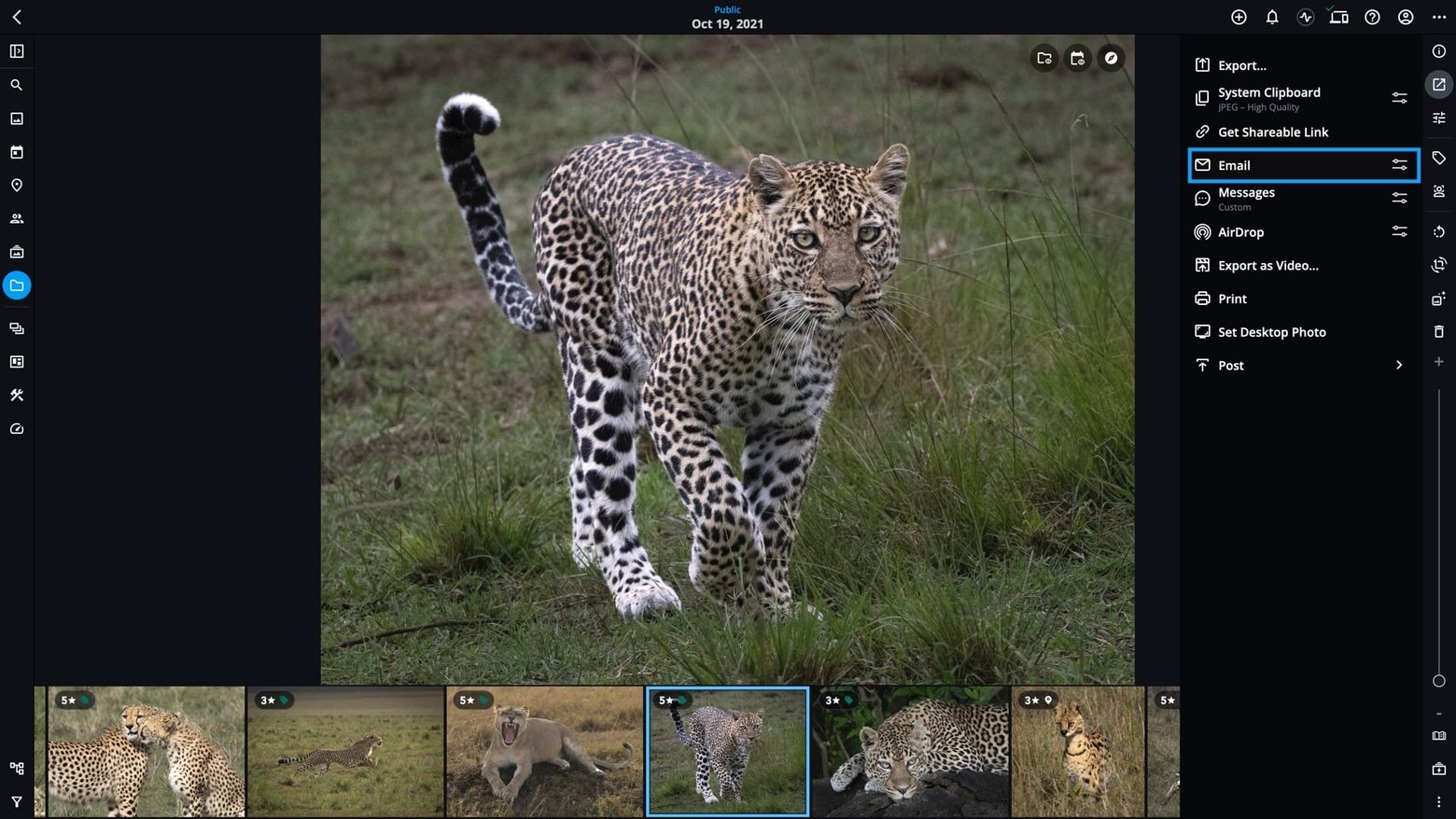 A photo open with the Share panel showing and the Email option outlined in blue.