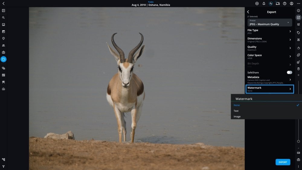 The Export panel with the Watermark option outlined in blue and its menu open, offering None, Text and Image.