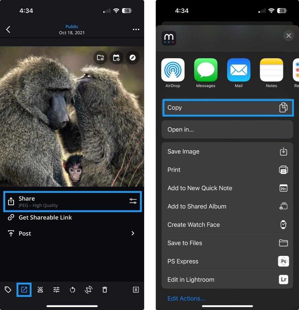 Two iPhone screens: the Share option highlighted under a photo, and the iOS share sheet with Copy highlighted.