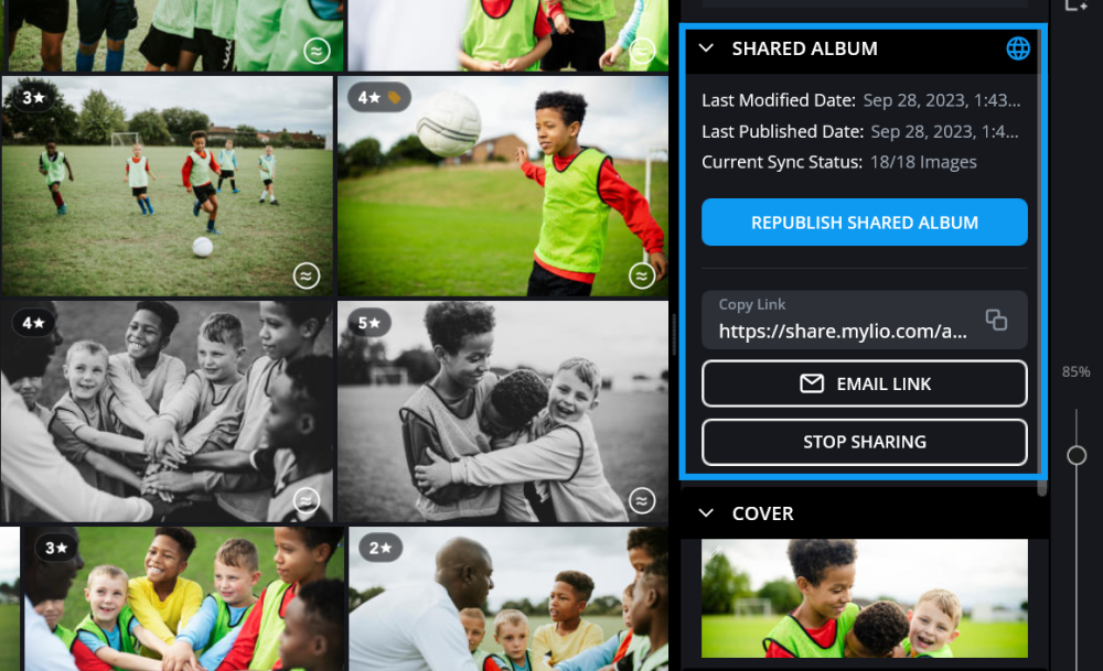 The Info panel for a shared album with the Shared Album section outlined in blue, showing the link, Email Link and Stop Sharing buttons.