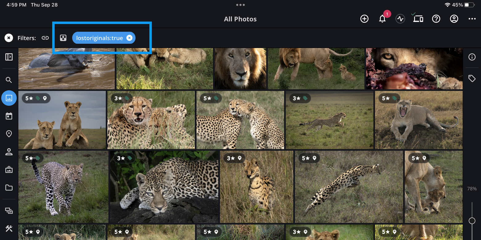 All Photos on an iPad with the Filters bar showing the "lostoriginals:true" filter, outlined in blue.