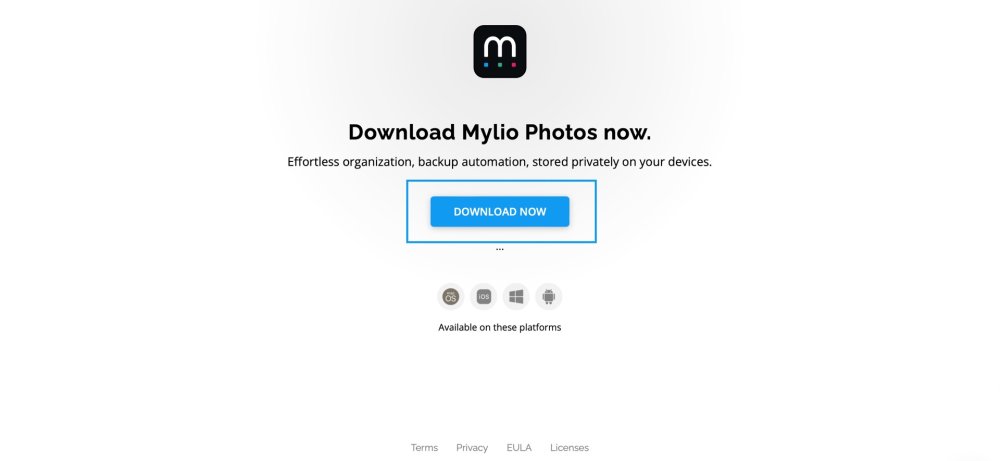 The "Download Mylio Photos now" page on the Mylio website, with the "Download Now" button outlined in blue.