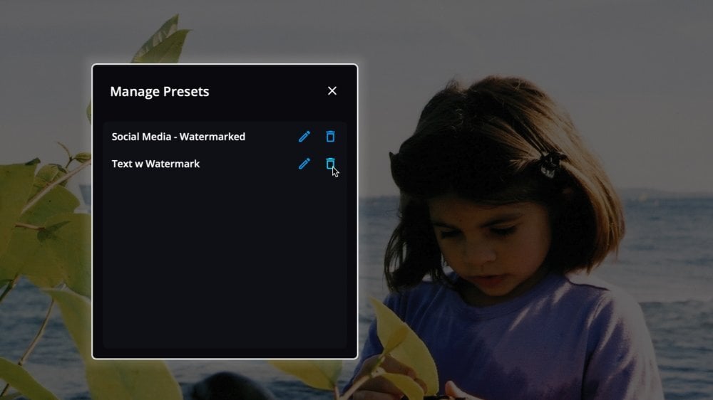 The Manage Presets dialog listing custom export presets, with the pointer on the trash can icon next to one preset.