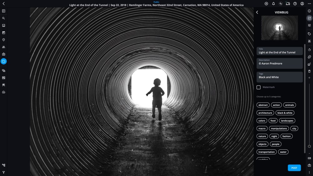 The VIEWBUG posting panel with Title, Description and Tags boxes, a Watermark checkbox, up to five categories to choose, and a Post button.