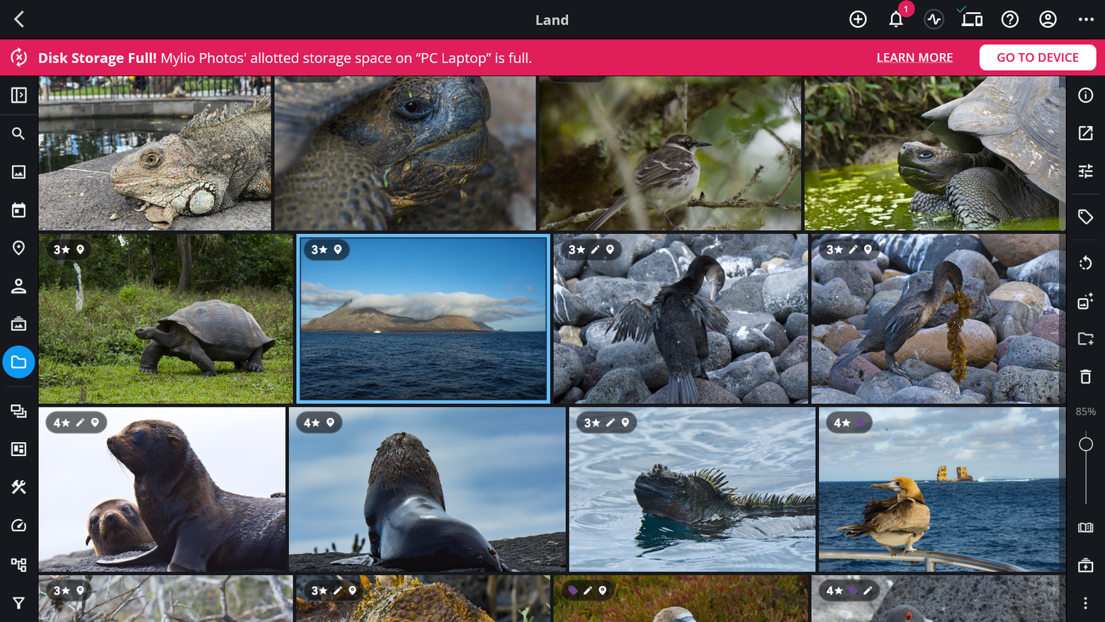 A red "Disk Storage Full!" banner across the top of Mylio Photos, with Learn More and Go to Device buttons.