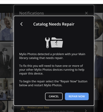 The "Catalog Needs Repair" message explaining that another Mylio Photos device must be running, with Cancel and Repair Now buttons.