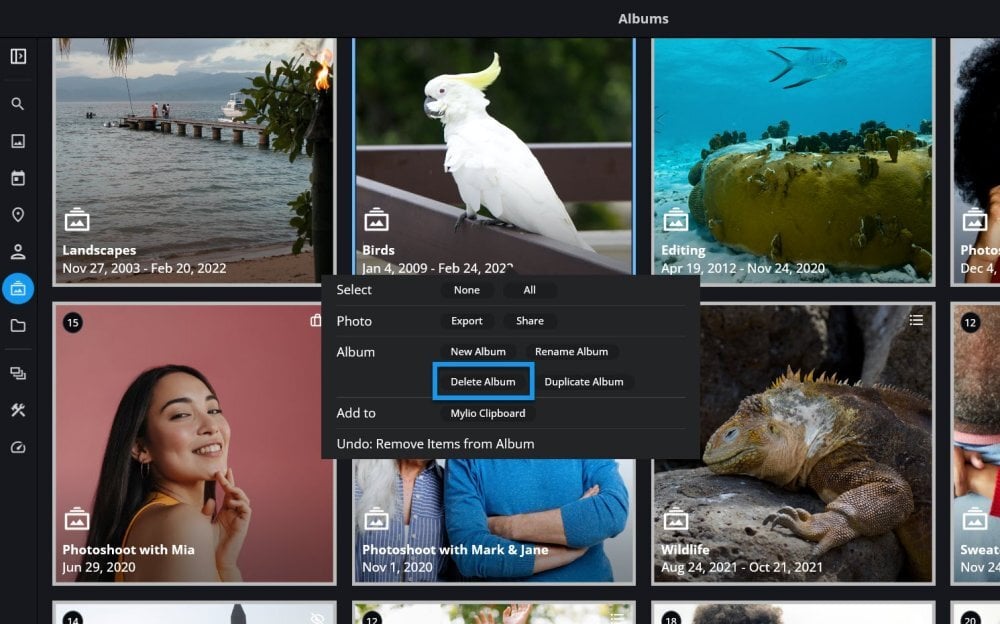 The Albums view with an album's right-click menu open and "Delete Album" outlined in blue.