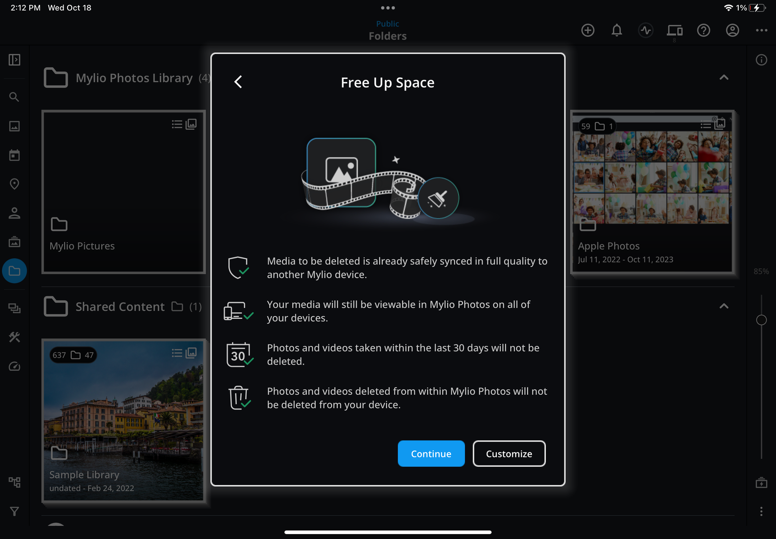 The Free Up Space dialog on an iPad explaining what will be deleted, with Continue and Customize buttons.
