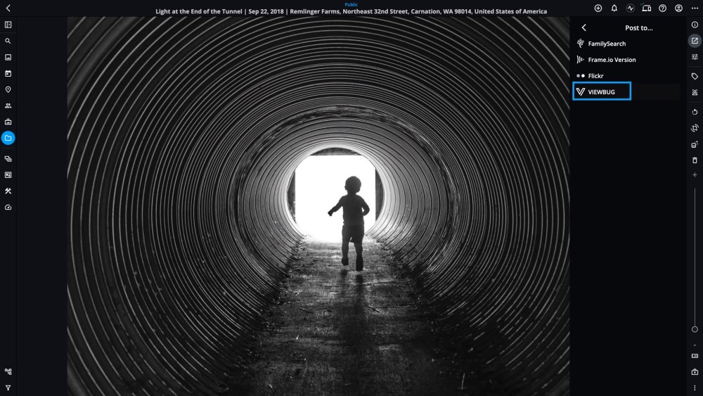 The "Post to…" list in the Share panel, with VIEWBUG outlined in blue.