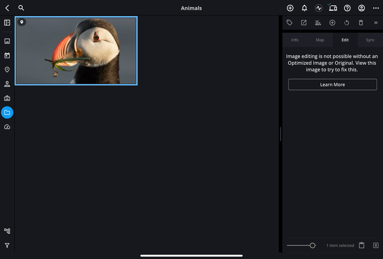 The Edit tab on an iPad showing "Image editing is not possible without an Optimized Image or Original" for a selected photo, with a Learn More button.