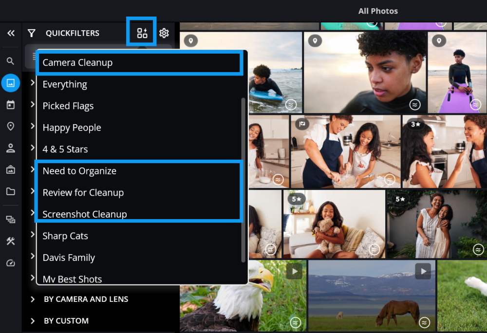 The QuickCollections list open from the QuickFilters panel, with Camera Cleanup, Need to Organize, Review for Cleanup and Screenshot Cleanup outlined in blue.
